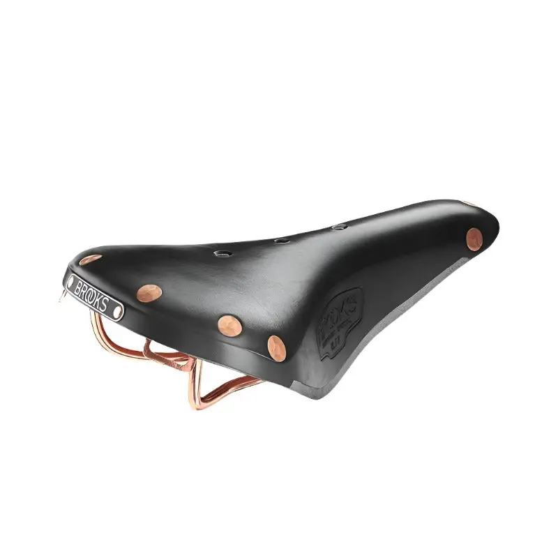 Brooks B17 Special Saddle 1