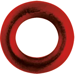Backcap Short (With O-Ring) 1
