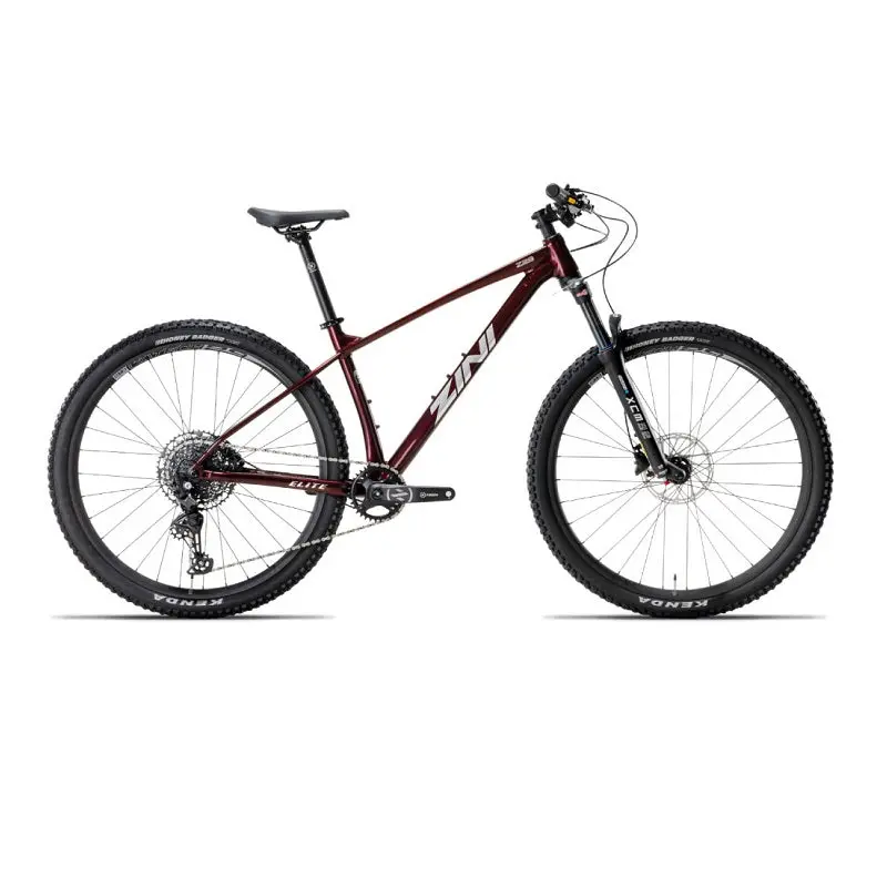 Zini Z29 Elite (2026) 1