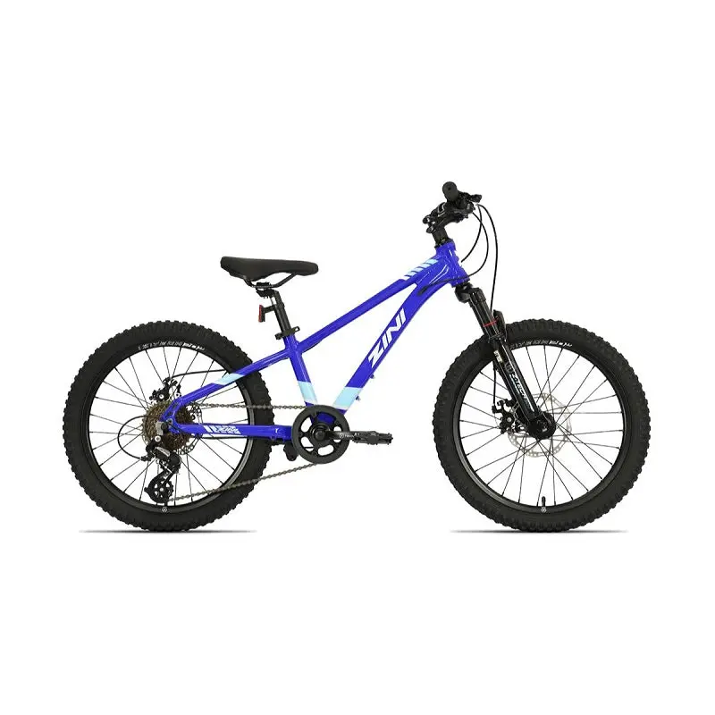 Zini Z20 Disc Boys (2024) 1