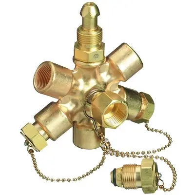 Manifold Block Assembly, 3000 Psig, Brass 1