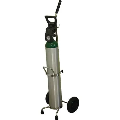 Medical Series Cart, D Or E Cylinder, 6 In Polyolefin Wheels 1