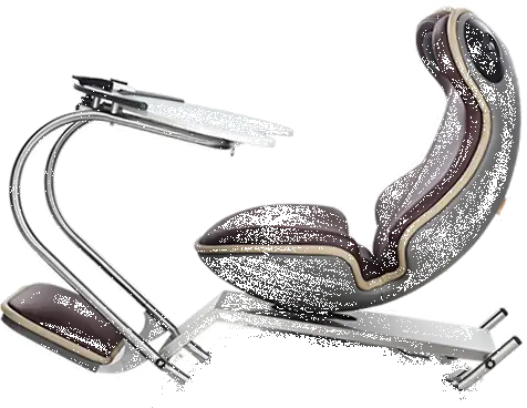 Ergonomic Chair Frog 4.0 1