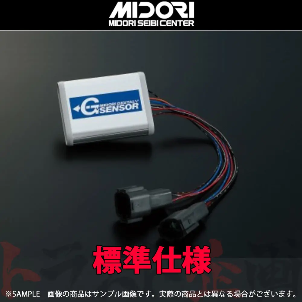 緑整備センター デジタル Gセンサー スカイラインgt-R Bnr34 標準仕様（青） ##843121045 1