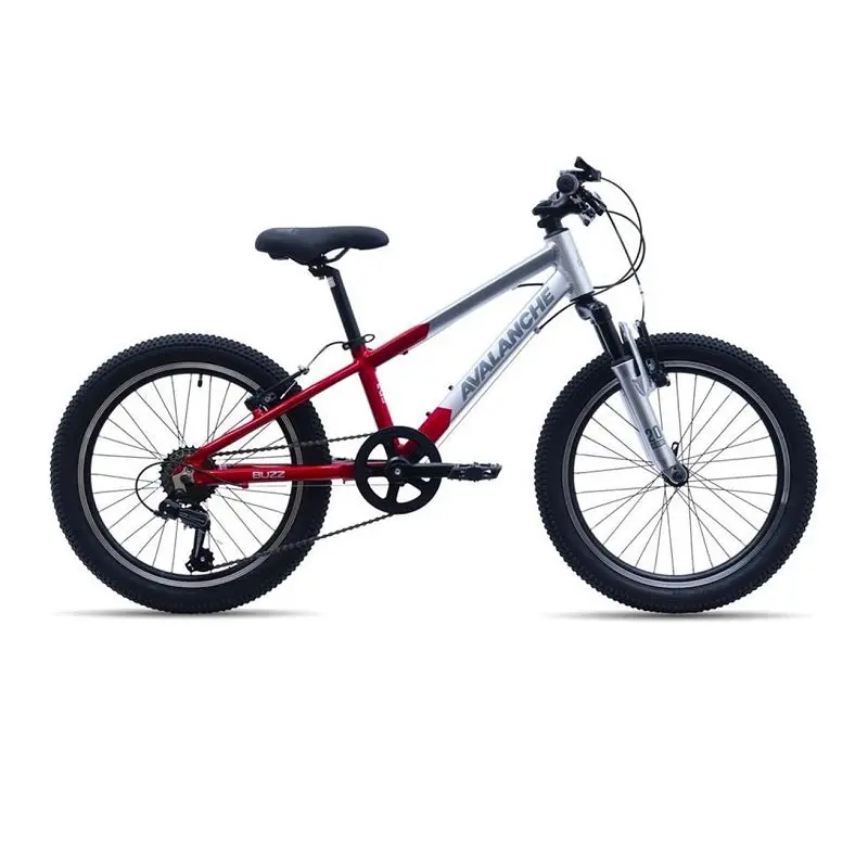 Avalanche Buzz 20" Boys (2026) 1