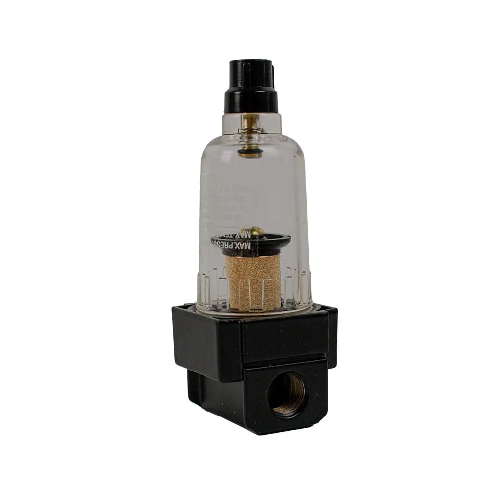 Mini Filter, 1/4 In Npt 1