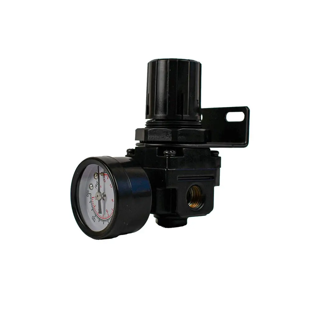 Mini Regulator, 1/4 In Npt 1