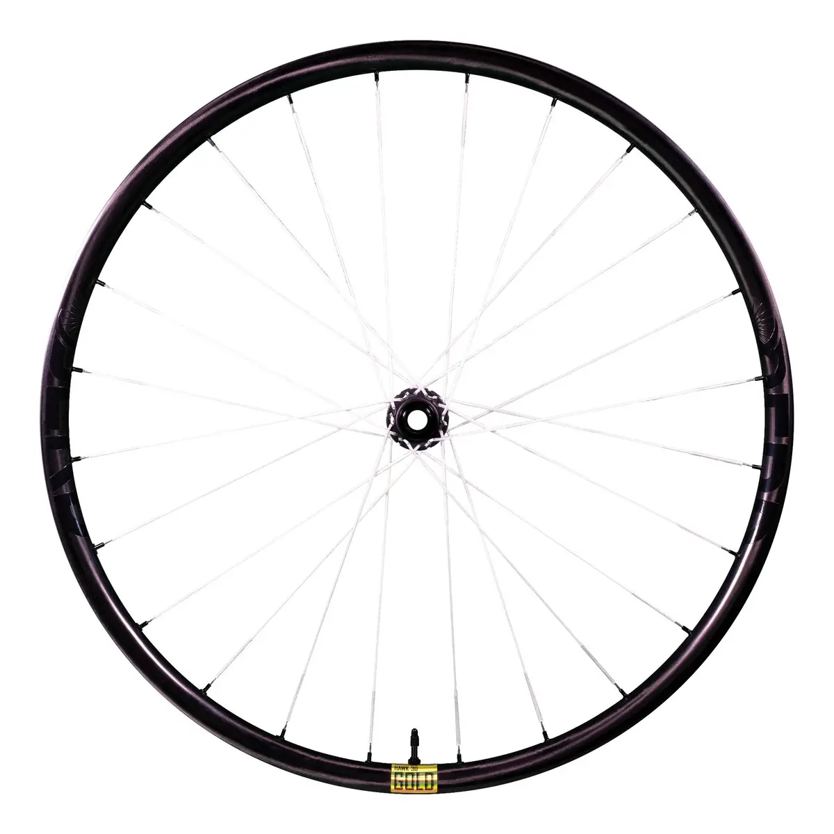 Berd Hawk30 Gold Carbon Wheels 1
