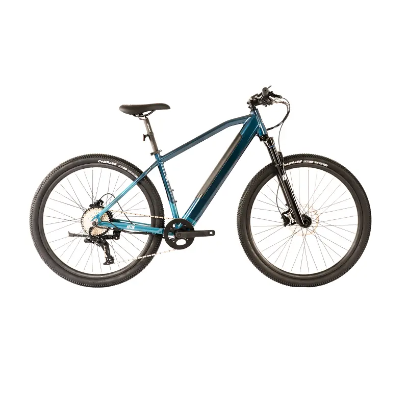 Avalanche Mte E-Bike (2026) 1