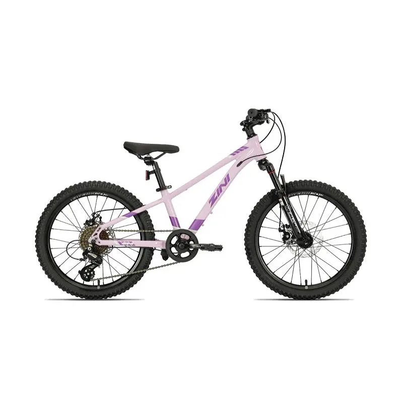 Zini Z20 Disc Girls (2024) 1