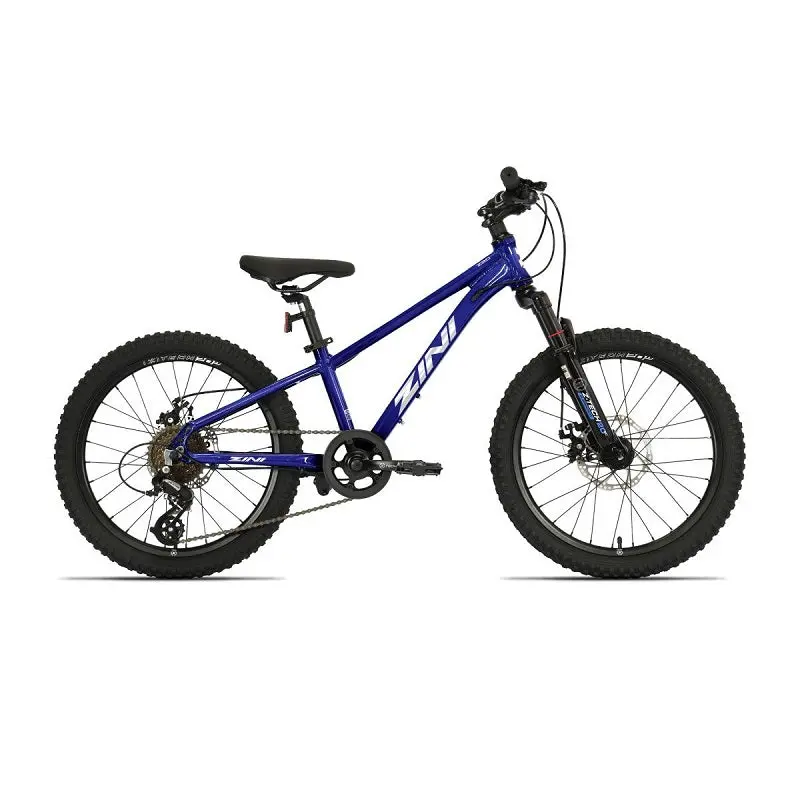 Zini Z20 Disc Boys (2025) 1