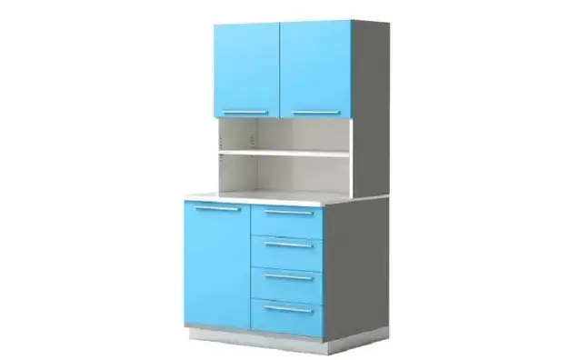Cabinet With Shelf B 1