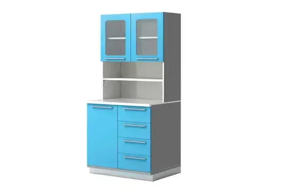 Cabinet With Shelf C 1