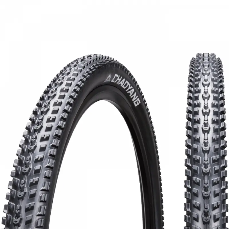 Chaoyang Fast Lane Foldable 29X2.25 Tyres 1