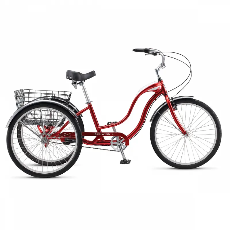 Schwinn Town And Country (2022) 1