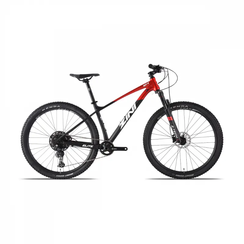 Zini Z29 Elite (2023) 1