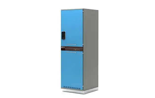 Thermostat Cabinet 1