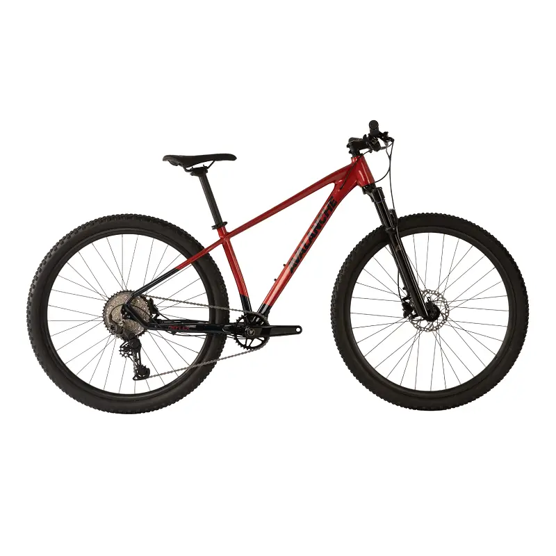 Avalanche Reflex 29Er Team (2026) 1