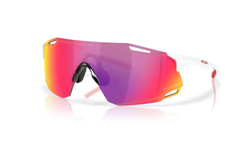 Oakley Cybr Dyno Eyewear 1